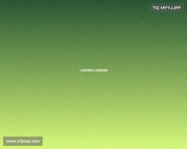 vs杯电子竞技峰会;vs电子竞技俱乐部